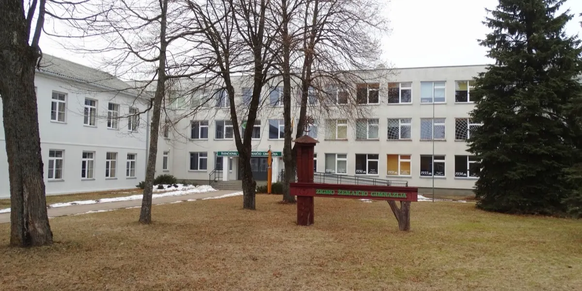 Švenčionių Zigmo Žemaičio gimnazija, Švenčionys